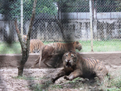 Ảnh bìa bài viết 464422