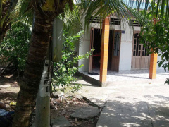 Ảnh bìa bài viết 464587