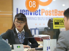 Ảnh bìa bài viết 464531