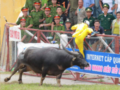 Ảnh bìa bài viết 464607