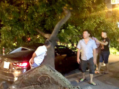 Ảnh bìa bài viết 464472