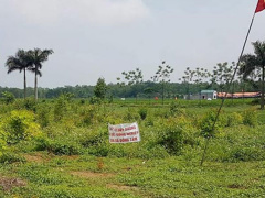 Ảnh bìa bài viết 464741