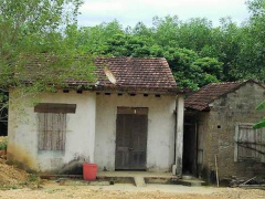 Ảnh bìa bài viết 464948