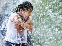 Ảnh bìa bài viết 464716