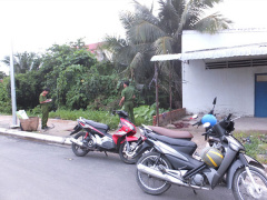 Ảnh bìa bài viết 464974