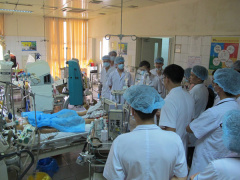 Ảnh bìa bài viết 464909