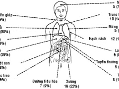Ảnh bìa bài viết 464778