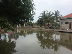 Ảnh bìa bài viết 464745