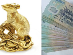 Ảnh bìa bài viết 465071