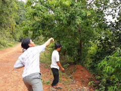 Ảnh bìa bài viết 465001