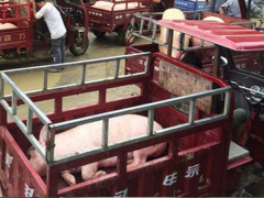 Ảnh bìa bài viết 465199