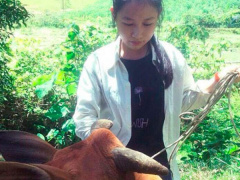 Ảnh bìa bài viết 465659