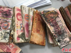 Ảnh bìa bài viết 465721