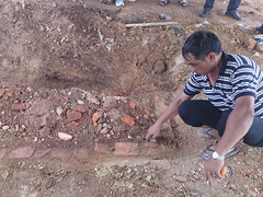 Ảnh bìa bài viết 465711