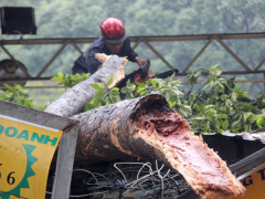 Ảnh bìa bài viết 465749