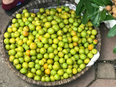 Ảnh bìa bài viết 465787
