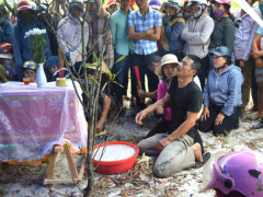 Ảnh bìa bài viết 465907