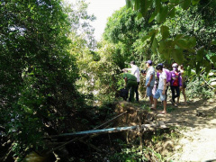 Ảnh bìa bài viết 466001