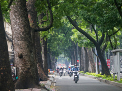 Ảnh bìa bài viết 465974
