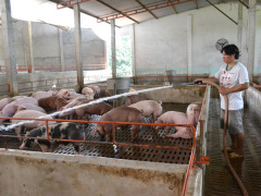 Ảnh bìa bài viết 466060
