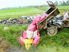 Ảnh bìa bài viết 465995