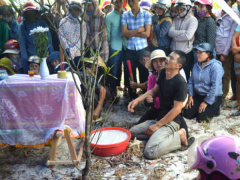 Ảnh bìa bài viết 466322