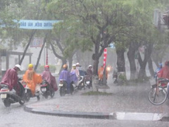 Ảnh bìa bài viết 466095