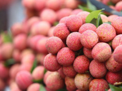 Ảnh bìa bài viết 466341