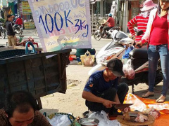 Ảnh bìa bài viết 466388