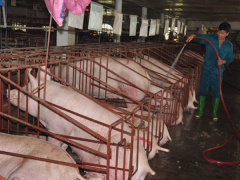 Ảnh bìa bài viết 466617