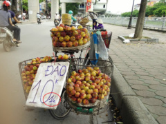 Ảnh bìa bài viết 466628