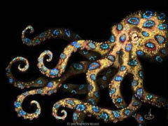 Ảnh bìa bài viết 466402