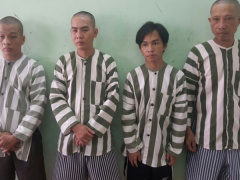 Ảnh bìa bài viết 466974
