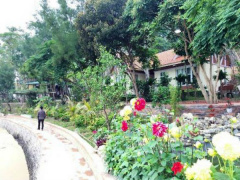 Ảnh bìa bài viết 467061