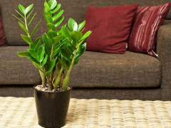 Ảnh bìa bài viết 467130