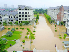 Post cover 467074
