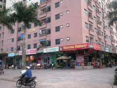 Ảnh bìa bài viết 467357