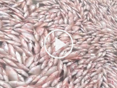 Ảnh bìa bài viết 467221