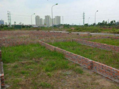 Ảnh bìa bài viết 467421
