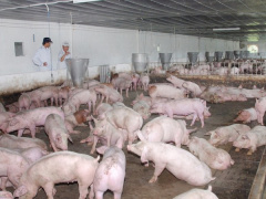 Ảnh bìa bài viết 467560