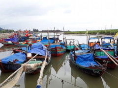 Ảnh bìa bài viết 467683