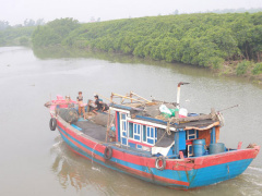 Ảnh bìa bài viết 467769