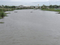 Ảnh bìa bài viết 467756
