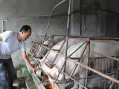Ảnh bìa bài viết 467976