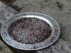 Ảnh bìa bài viết 468432