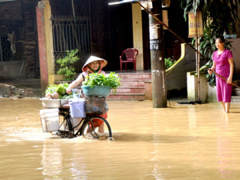 Ảnh bìa bài viết 468726