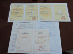 Ảnh bìa bài viết 468761