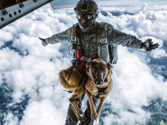 Ảnh bìa bài viết 468926