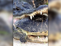 Ảnh bìa bài viết 468912