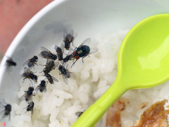 Ảnh bìa bài viết 468951